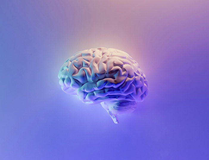 brain